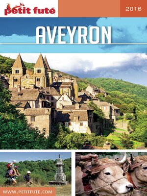 cover image of AVEYRON 2016/2017 Petit Futé